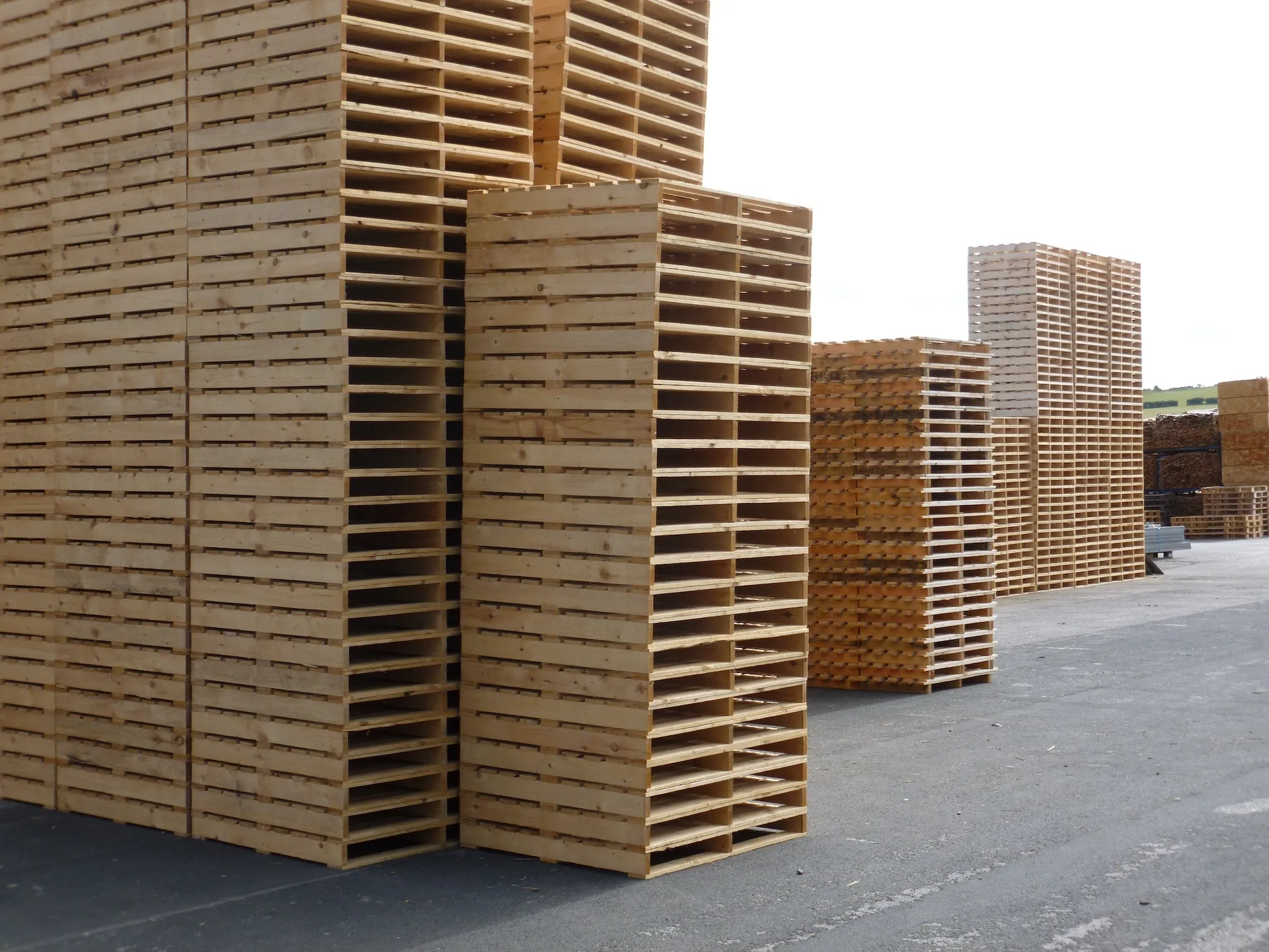 Thomas Armstrong (Timber) 