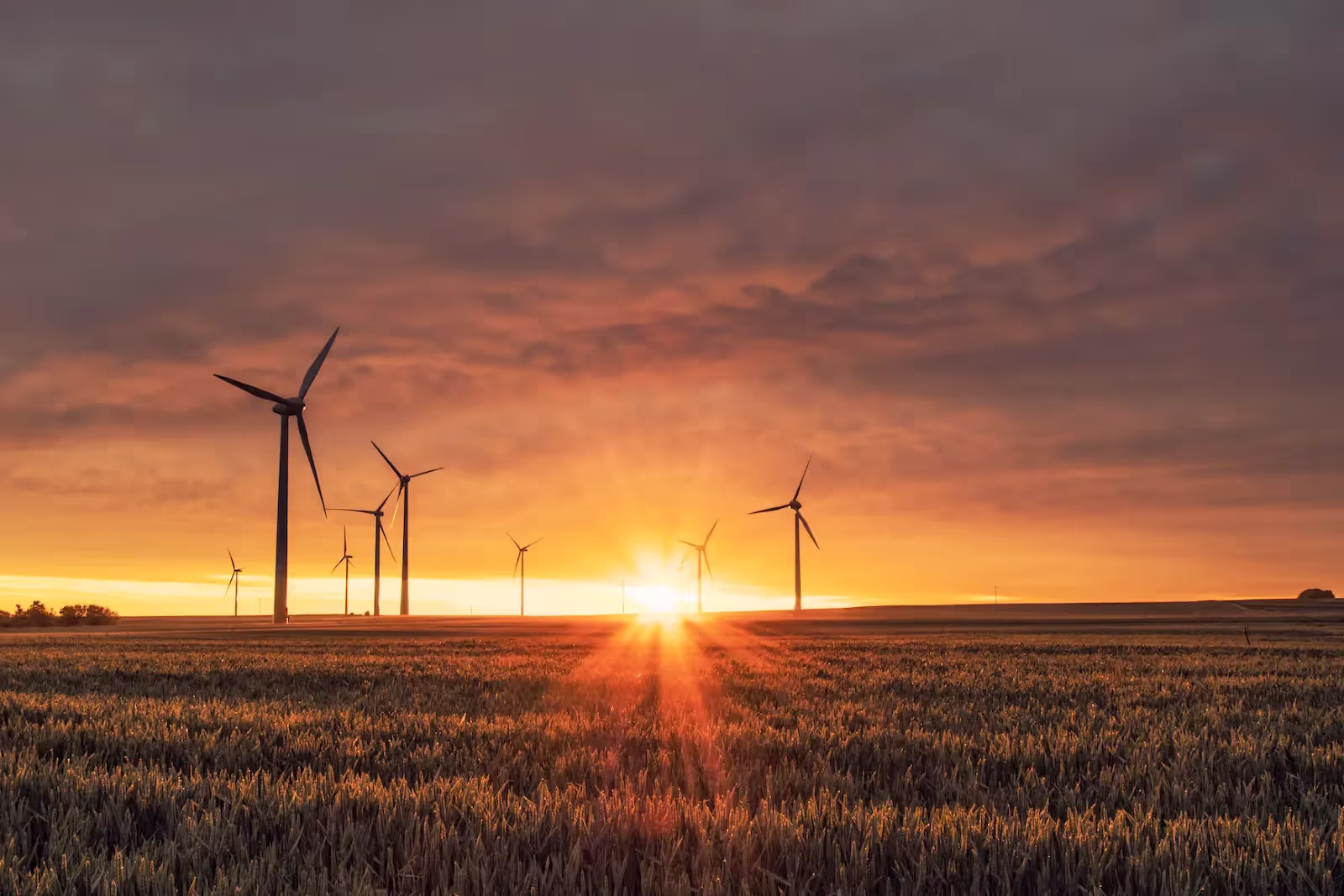 Windkraftanlagen in Biedesheim, Deutschland im Sonnenuntergang