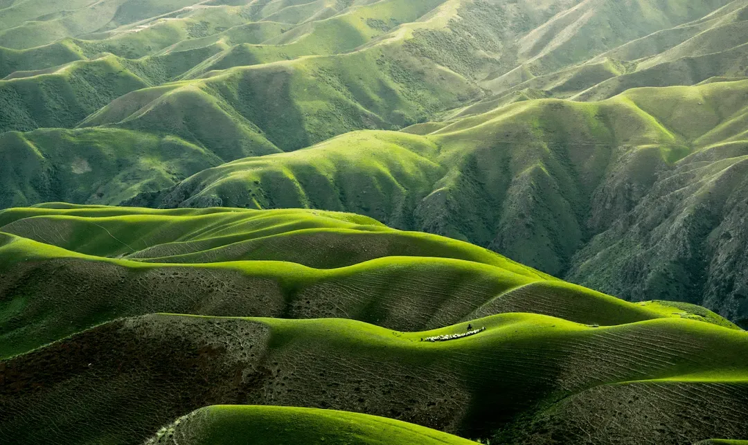 Grasland und Hügel in Yili, China