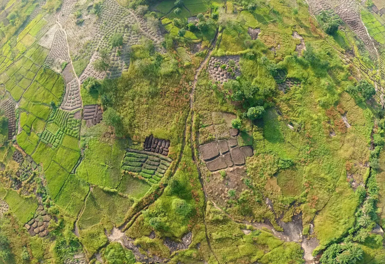 Landwirtschaftliche Nutzflächen in Guinea, Afrika
