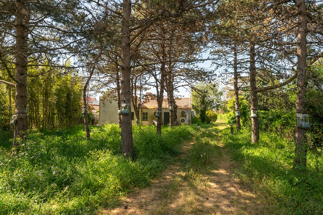 Maison de style rétaise • Fouras - photo 23
