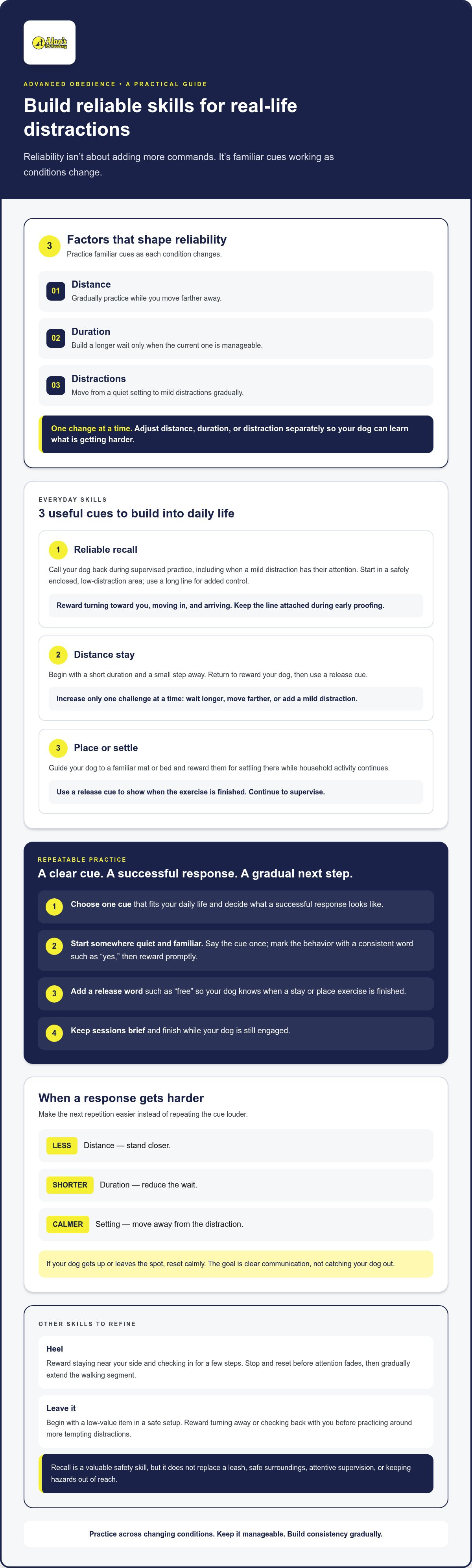 Advanced dog obedience commands