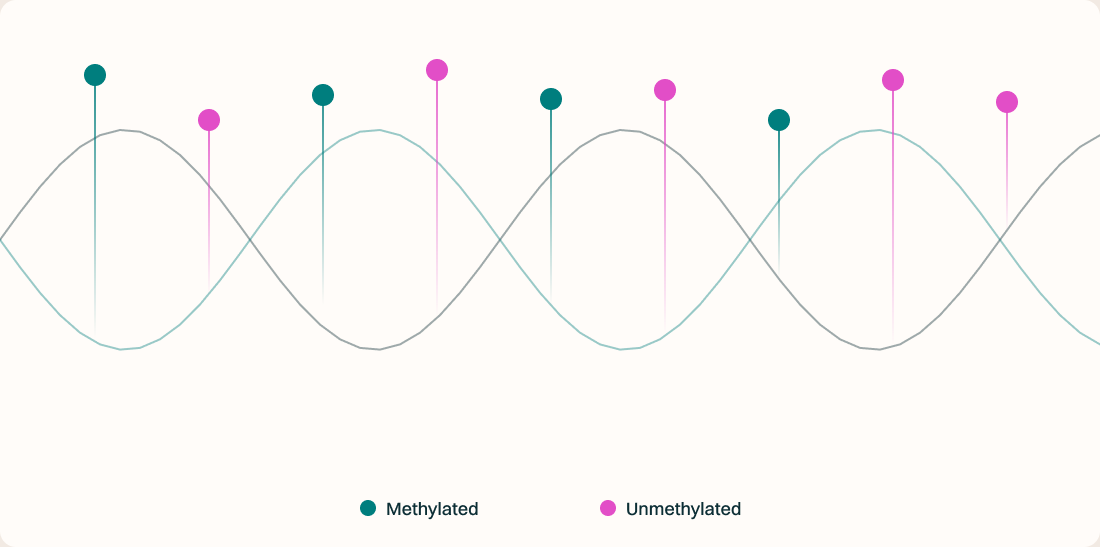 Methylated vs unmethylated