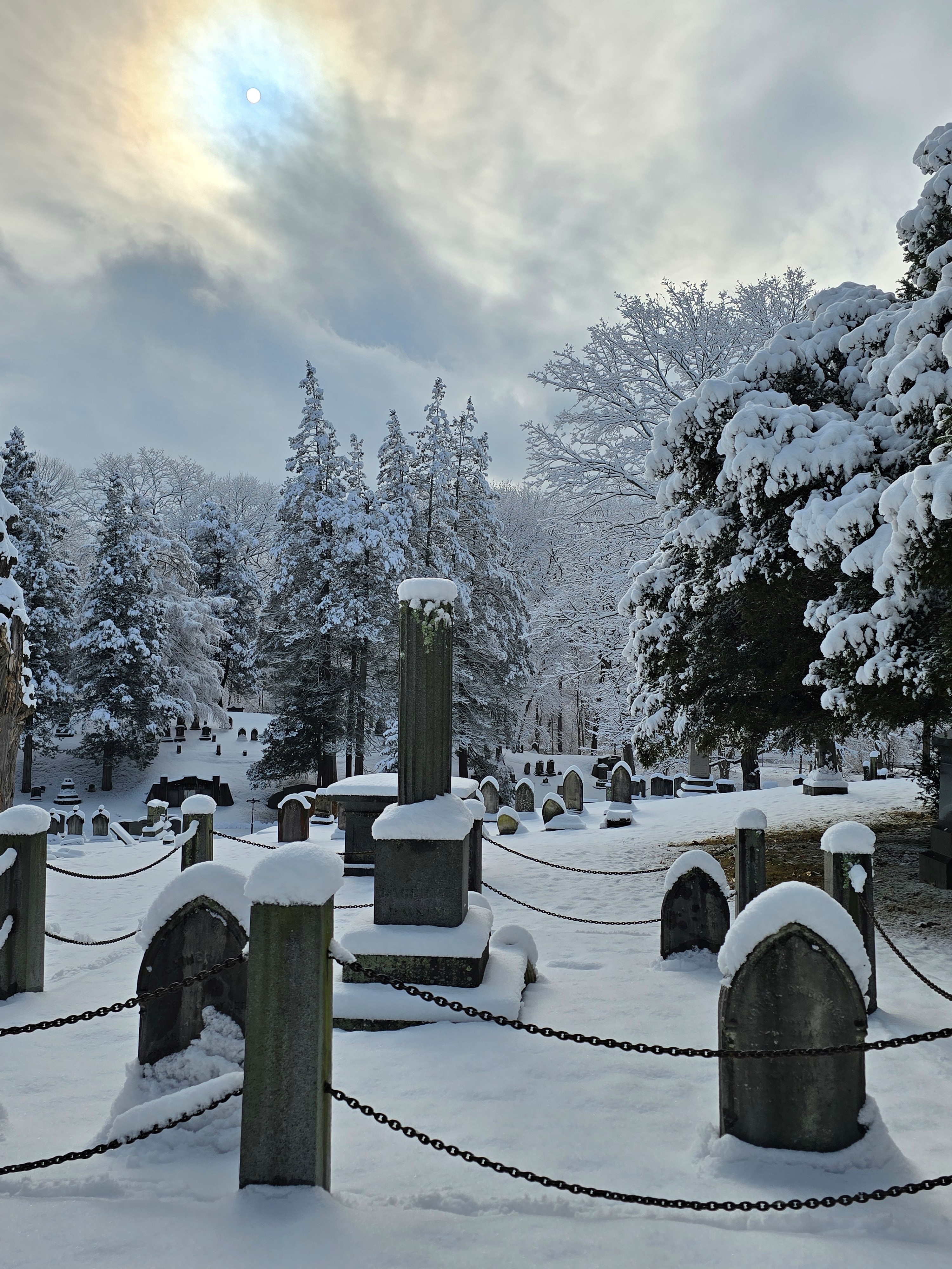 Buried Treasures Encore: A Harmony Grove Cemetery Online Program with Jim McAllister