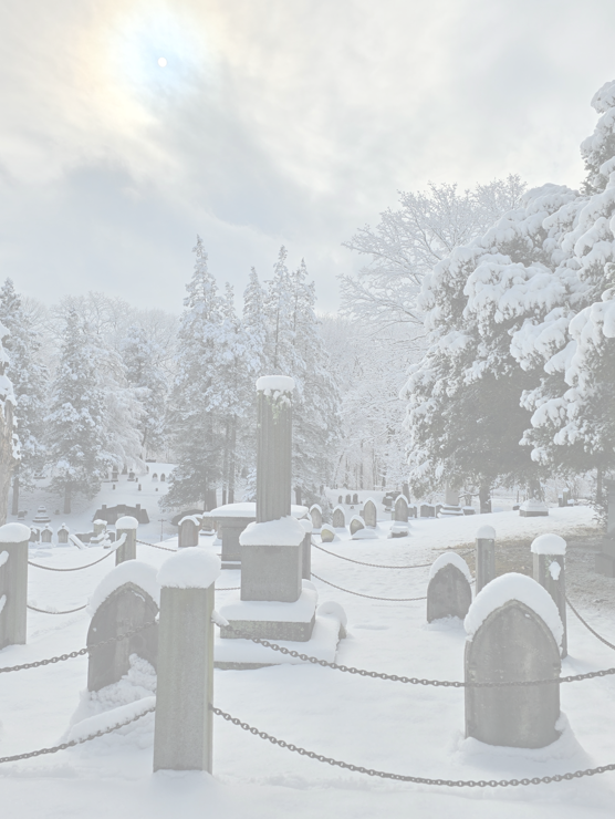 Buried Treasures Encore: A Harmony Grove Cemetery Online Program with Jim McAllister