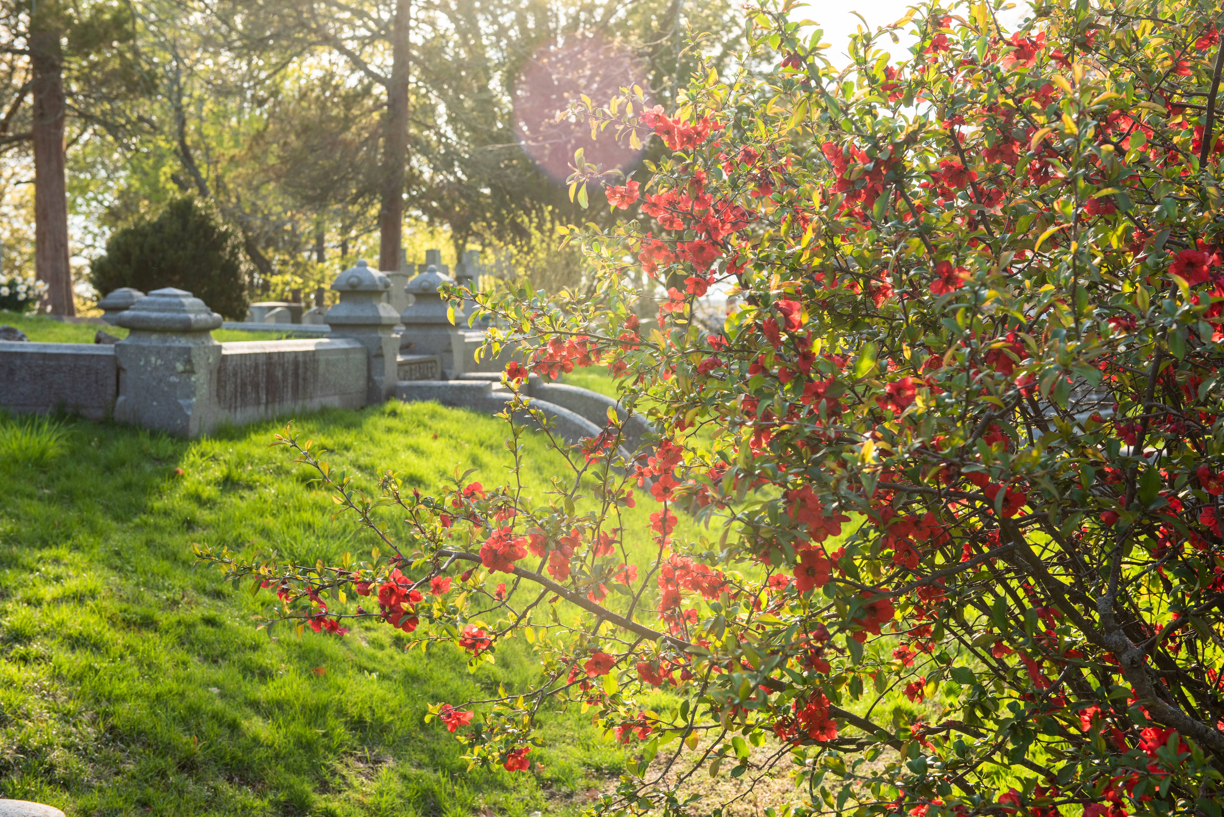 Buried Treasures Part II: A Harmony Grove Cemetery Spring Walking Tour with Jim McAllister