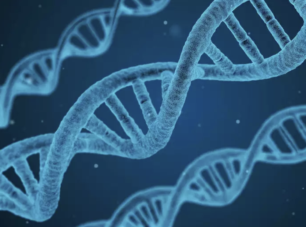 Svante Pääbo Receives Nobel Prize for DNA Sequencing Technology