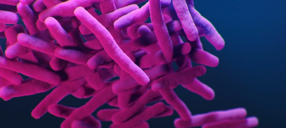 Resistance on the Rise: The Increase of AMR during and Post-Pandemic