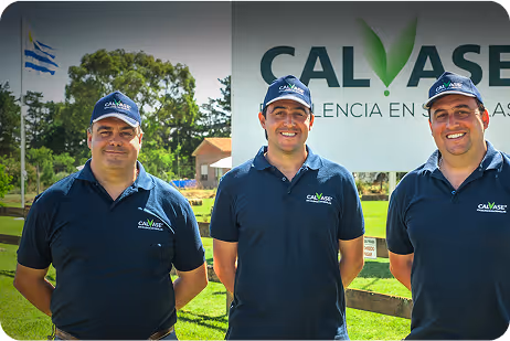 Directores de Calvase
