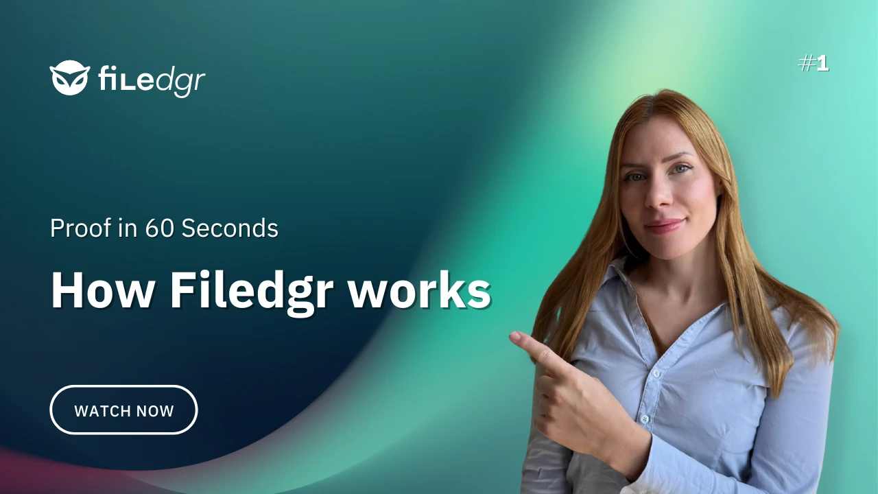 Proof in 60 seconds: How Filedgr works, video thumbnail