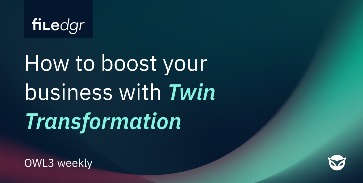 What Is Twin Transformation and Why It Matters for the Future of your Business