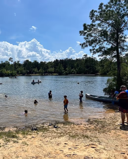 People swimming and boating on a sunny lake surrounded by pine trees