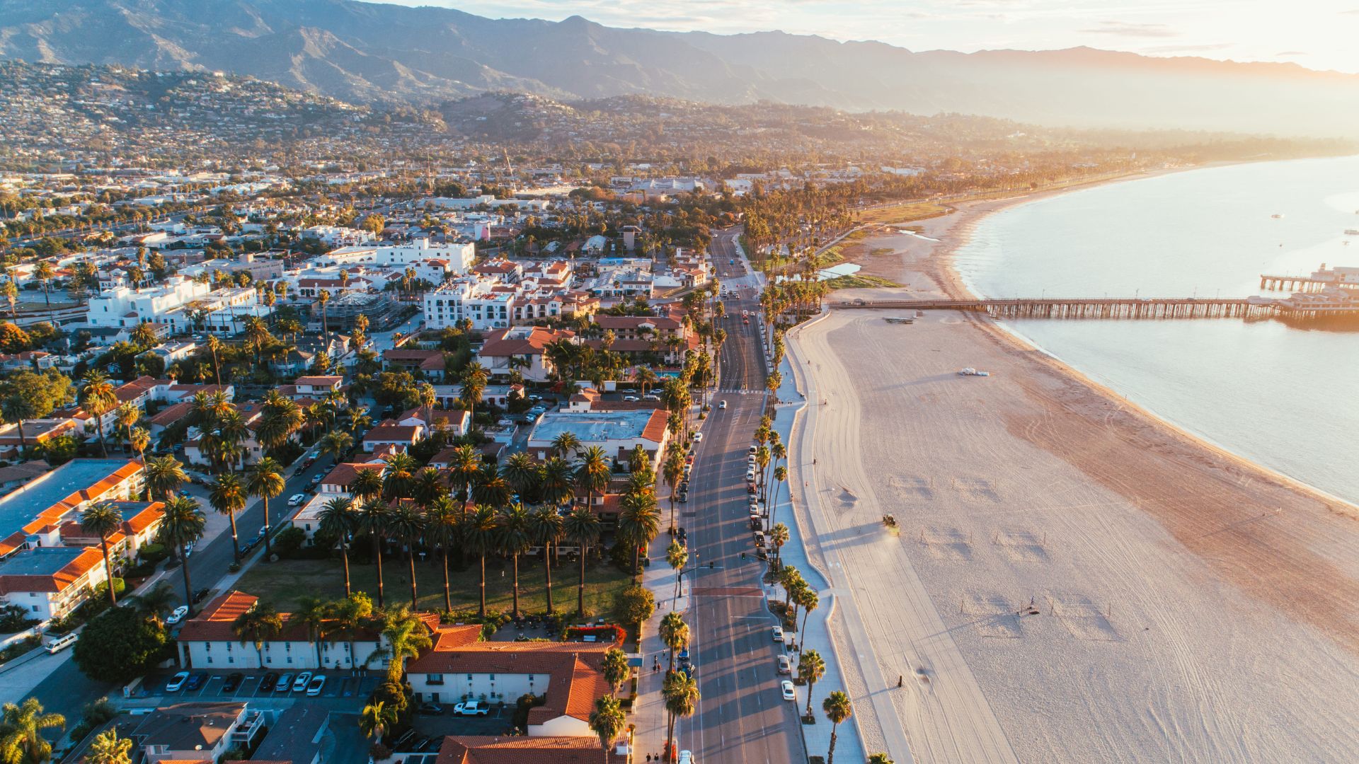 Charter Bus And Black Car Service In Knoxville