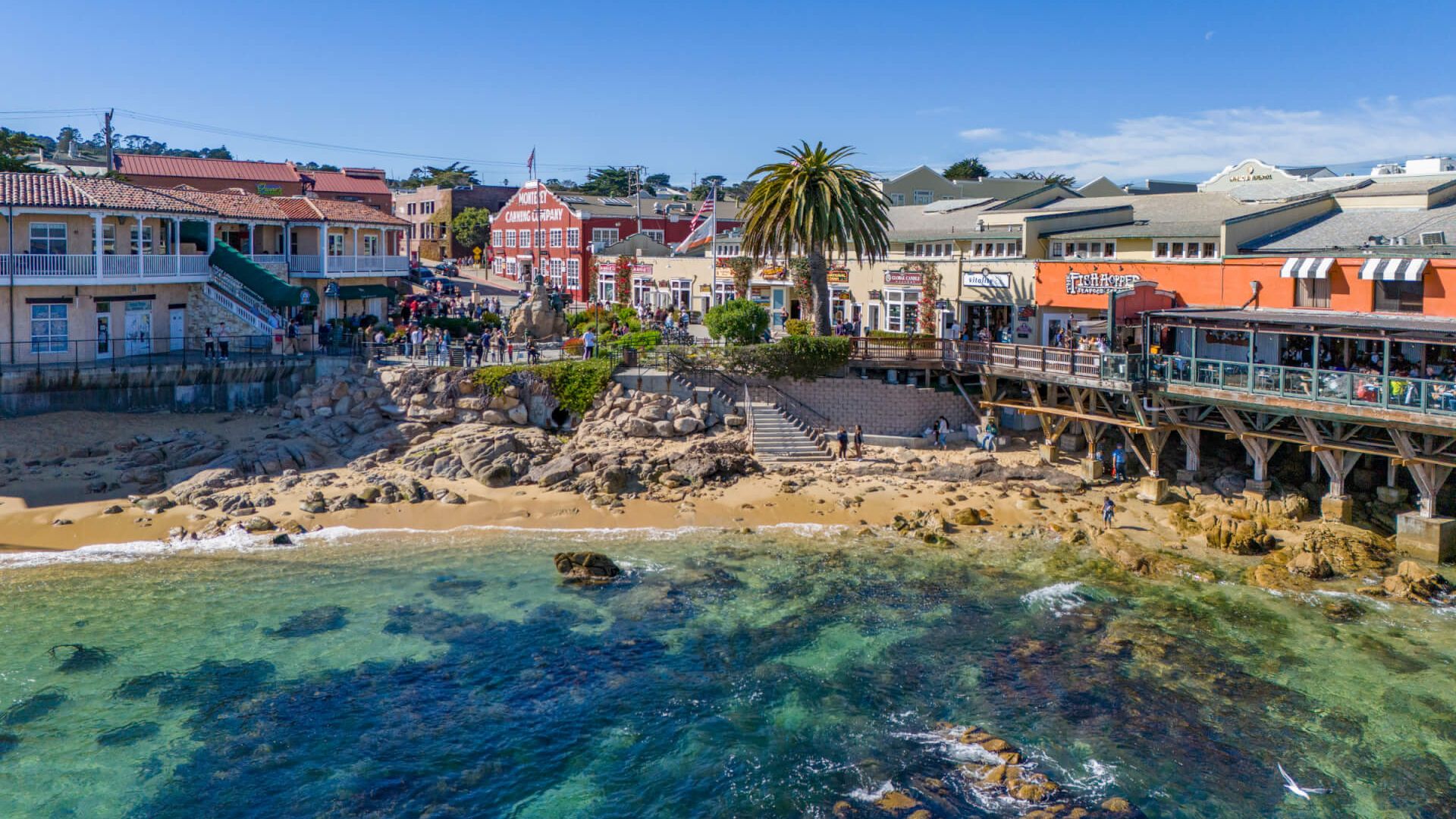 Charter Bus And Black Car Service In Knoxville