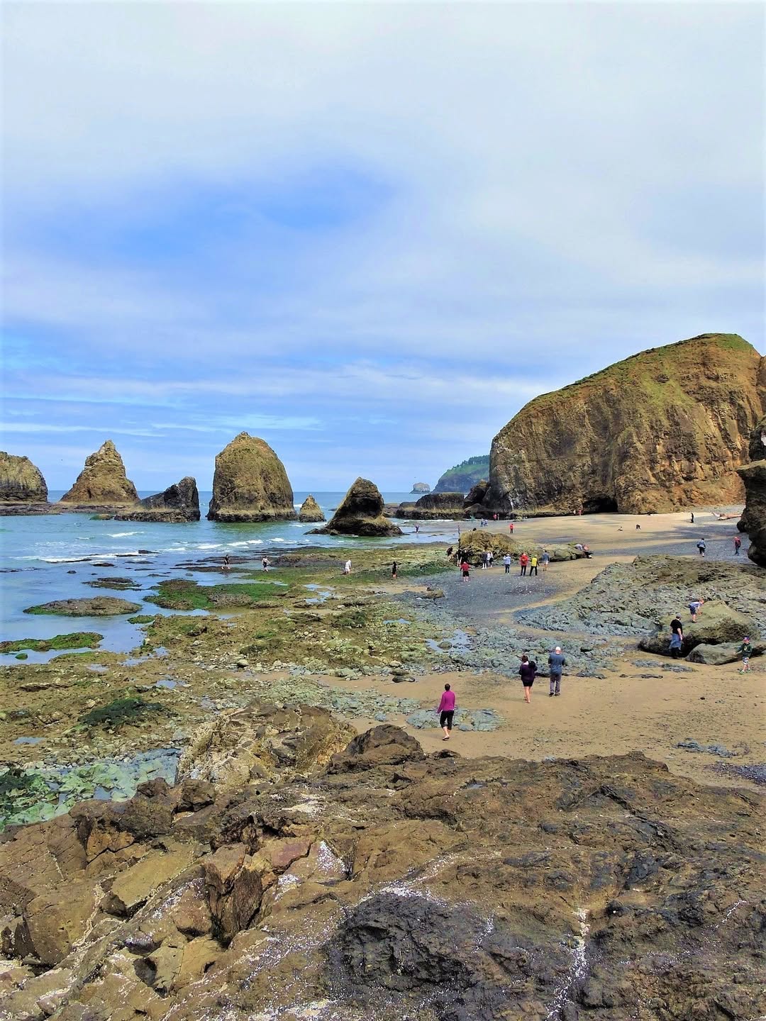 Three Arch Rocks National Wildlife Refuge, Oceanside Oregon (Just West of Tillamook)