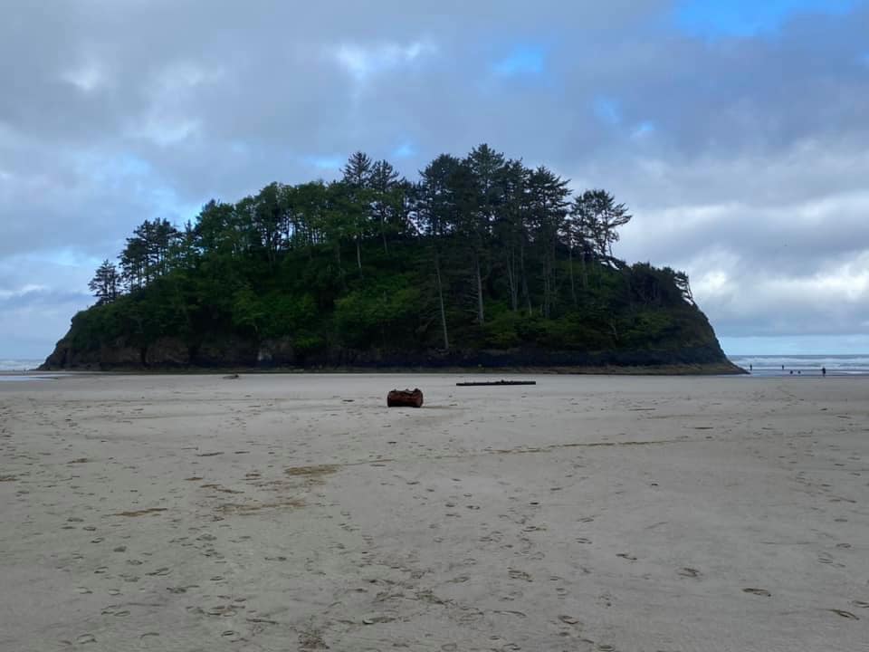 Proposal Rock Adventure: Explore  A Rare Oregon Coast Sea Stack