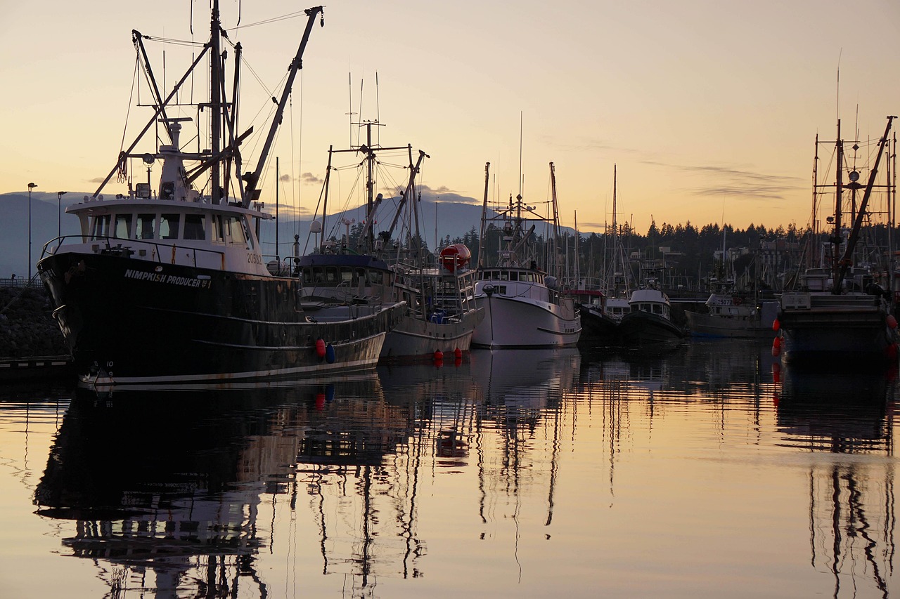 Kelly’s Brighton Marina Tillamook, Oregon: Crabbing, Camping, & Coastal Life on Nehalem Bay