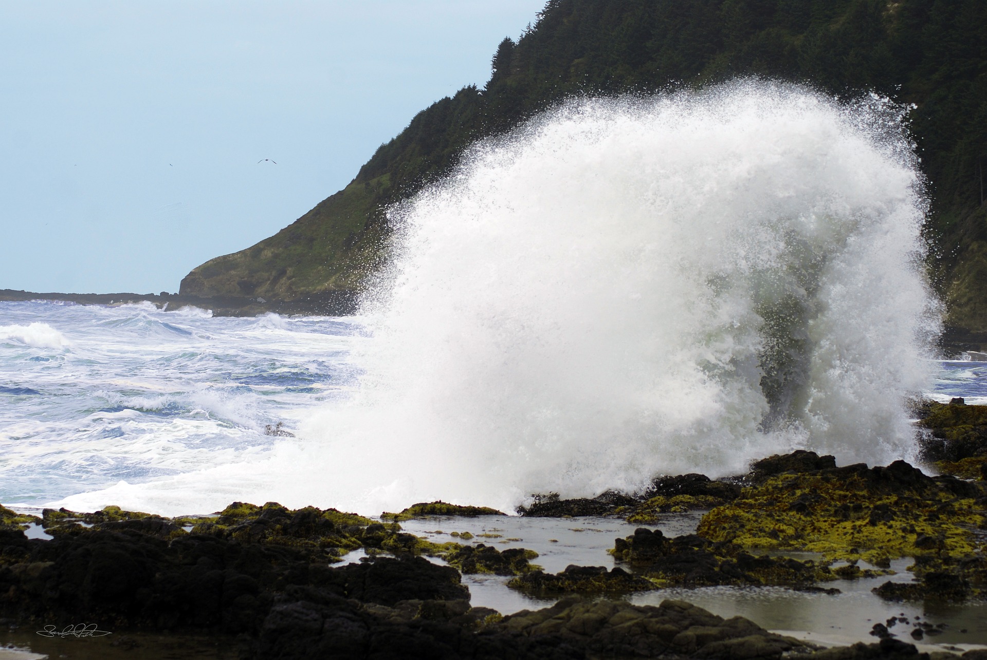 Story Telling: Winter Adventures on the Tillamook Coast