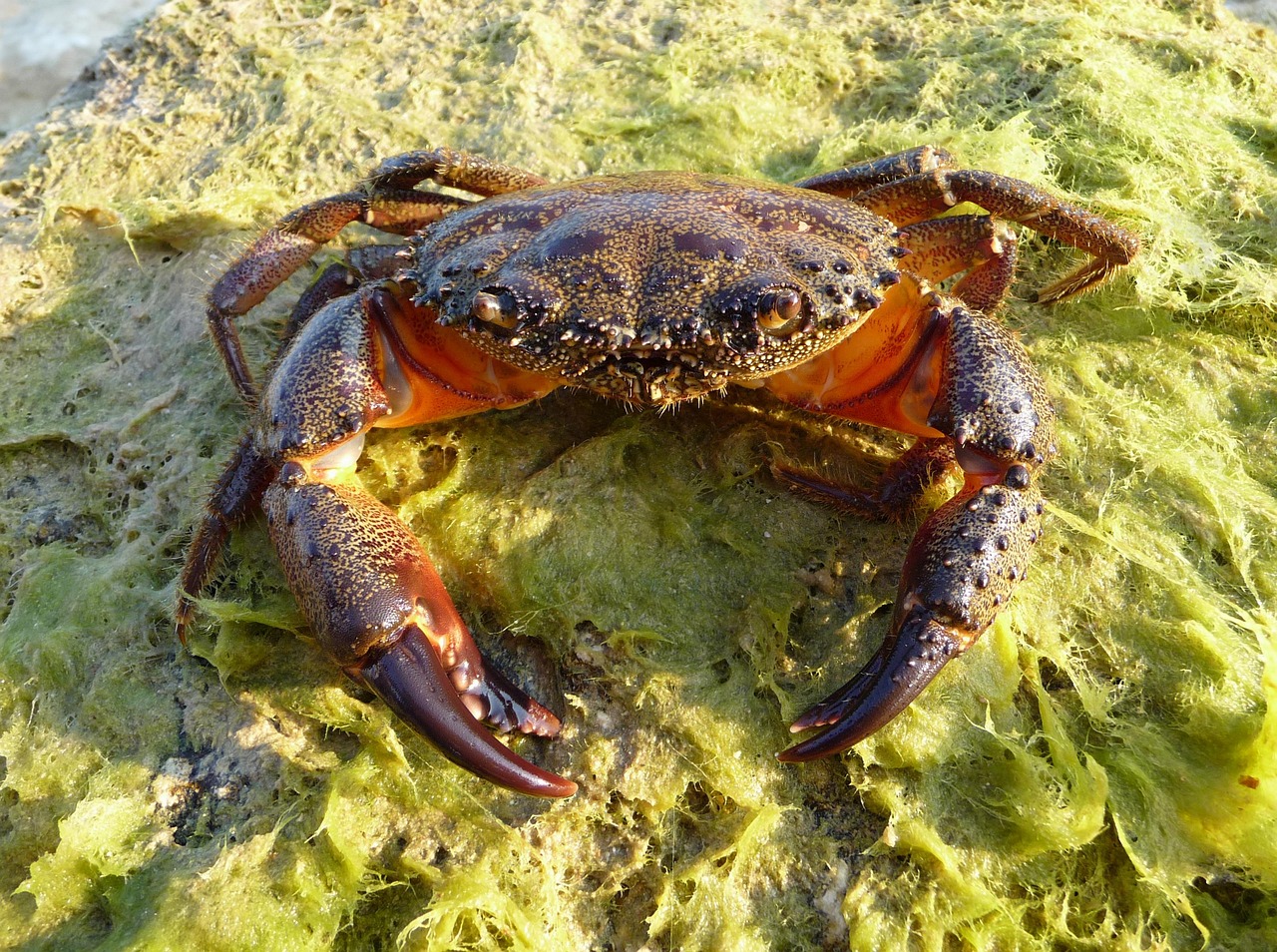 Crabbing in Alsea Bay (Waldport), Oregon