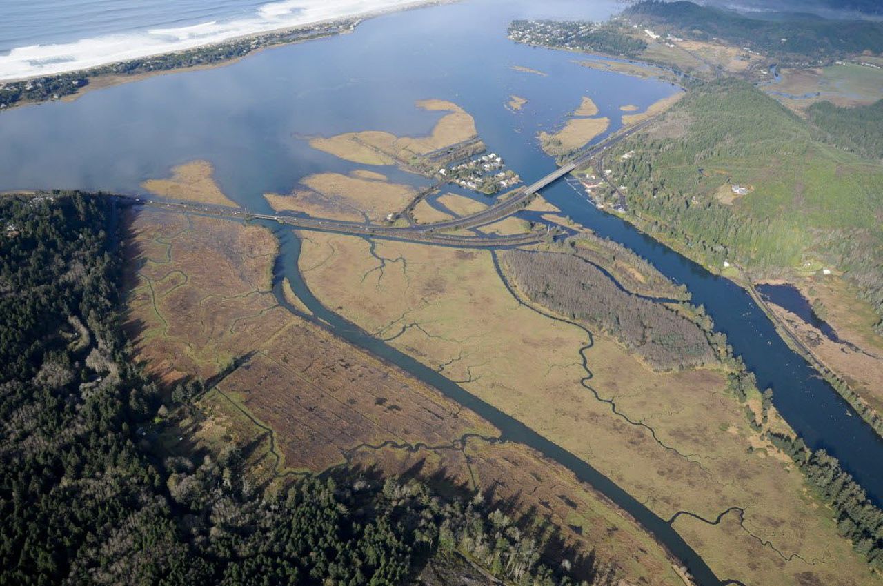 Siletz Bay National Wildlife Refuge: Wildlife on the Oregon Coast