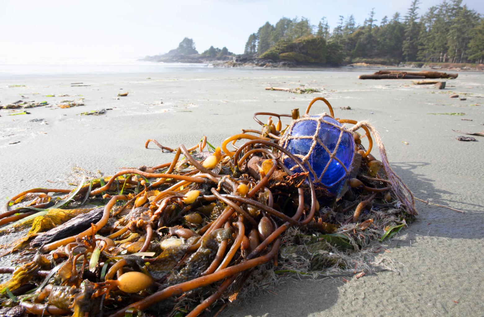 Glass Floats of the Oregon Coast: Maritime History Carried by the Sea