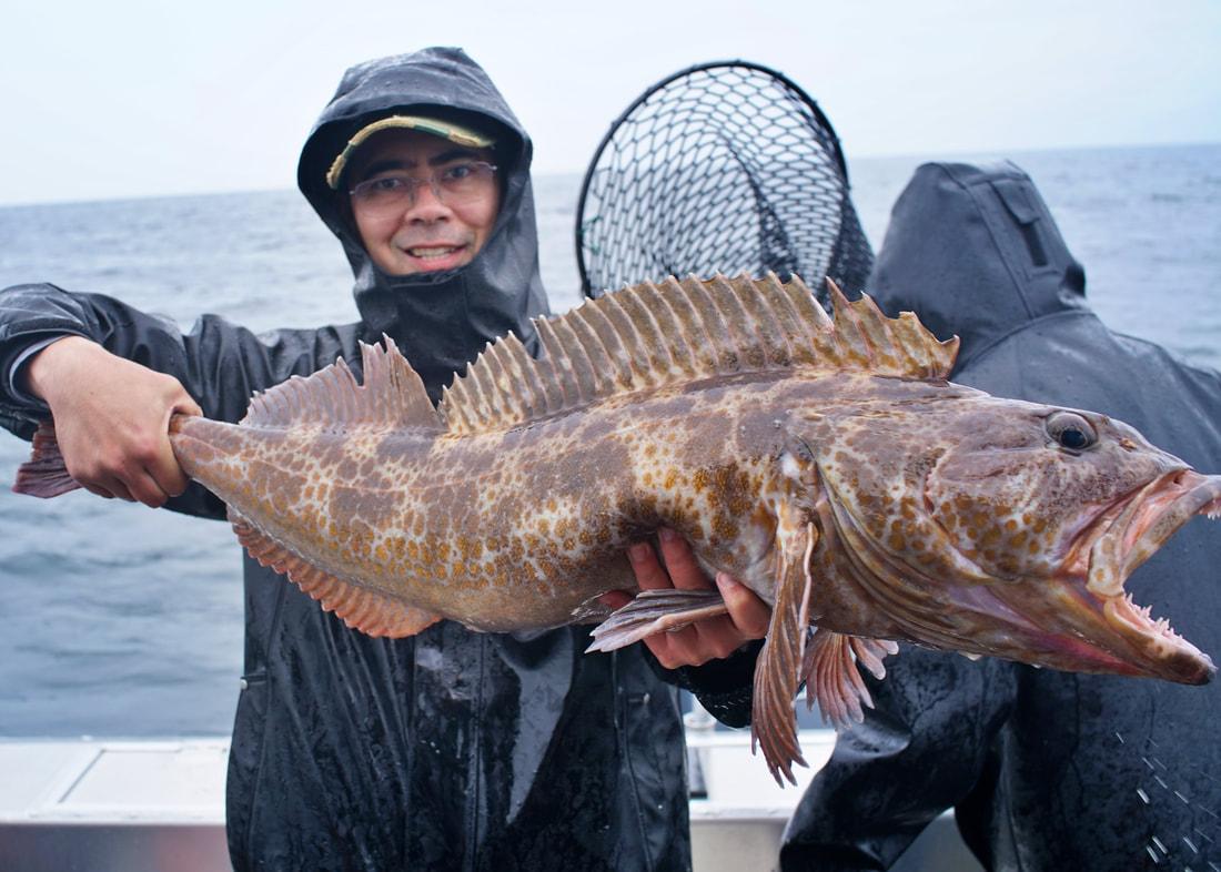 Guaranteed Places to Catch Lingcod on the Oregon Coast