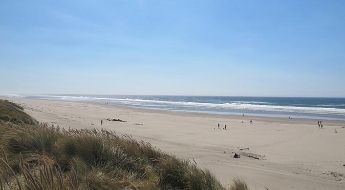 Chasing the Tide: Razor Clamming Near Yaquina Bay in Newport, Oregon