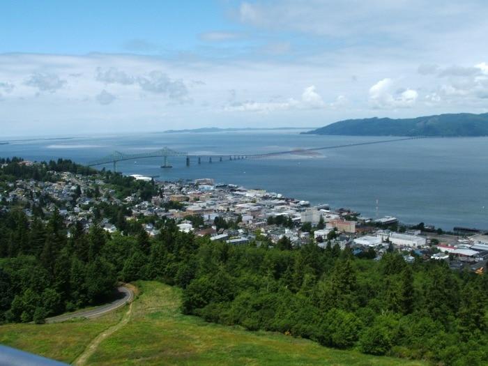 Cathedral Tree Trail: Astoria’s Most Popular Forest Hike with Stunning Coastal Views