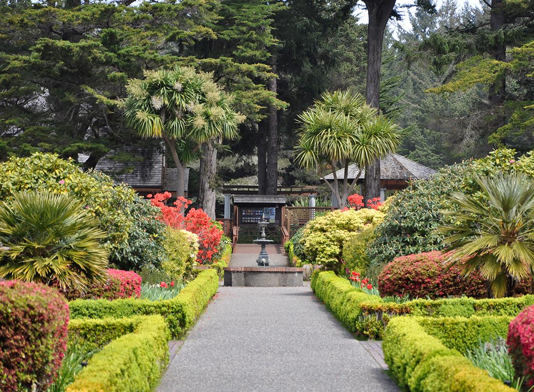 Shore Acres State Park: The Most Famous Stop Near North Bend, Oregon