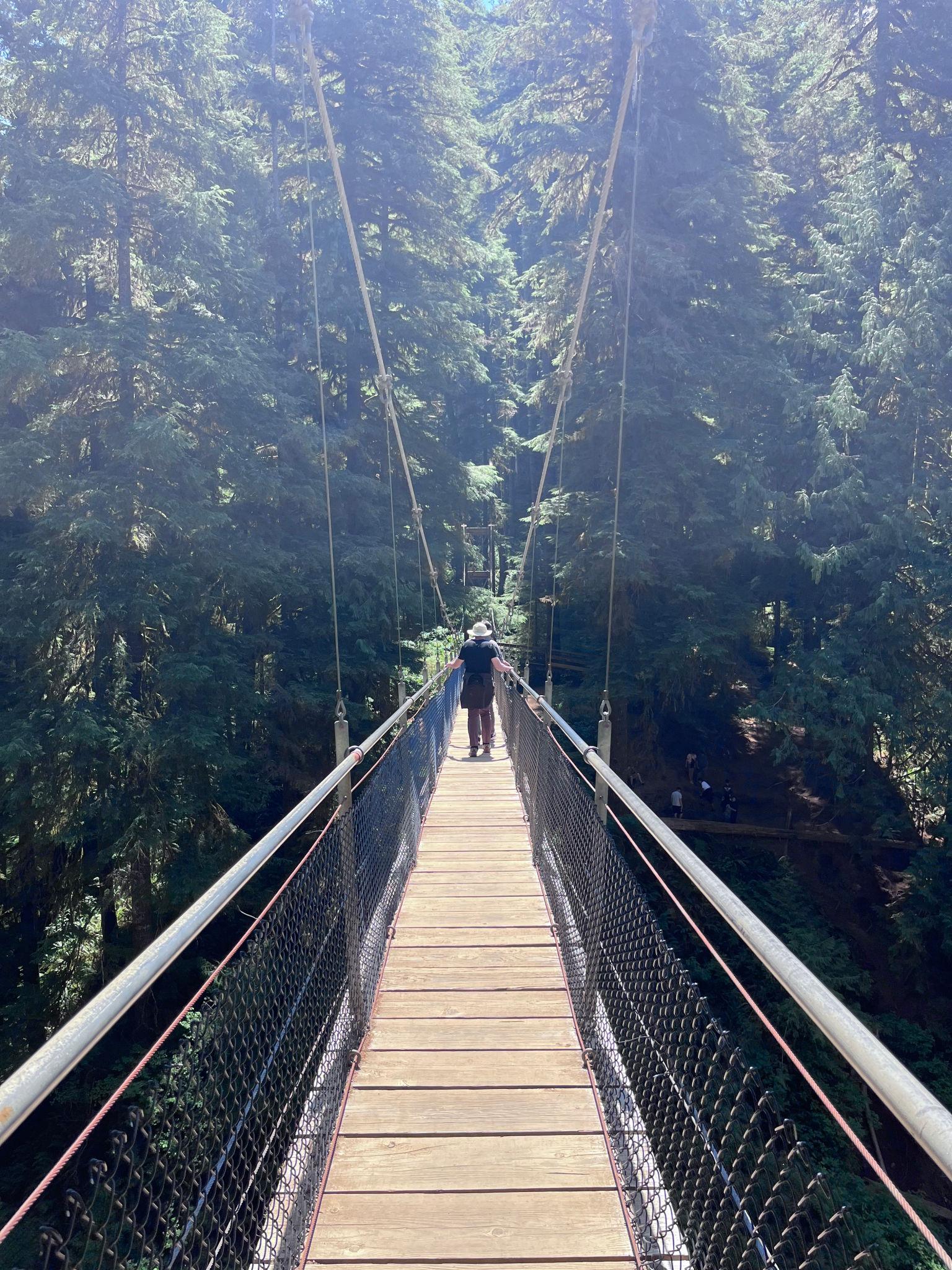 Drift Creek Falls: The Most Underrated Hike Near Lincoln City, Oregon
