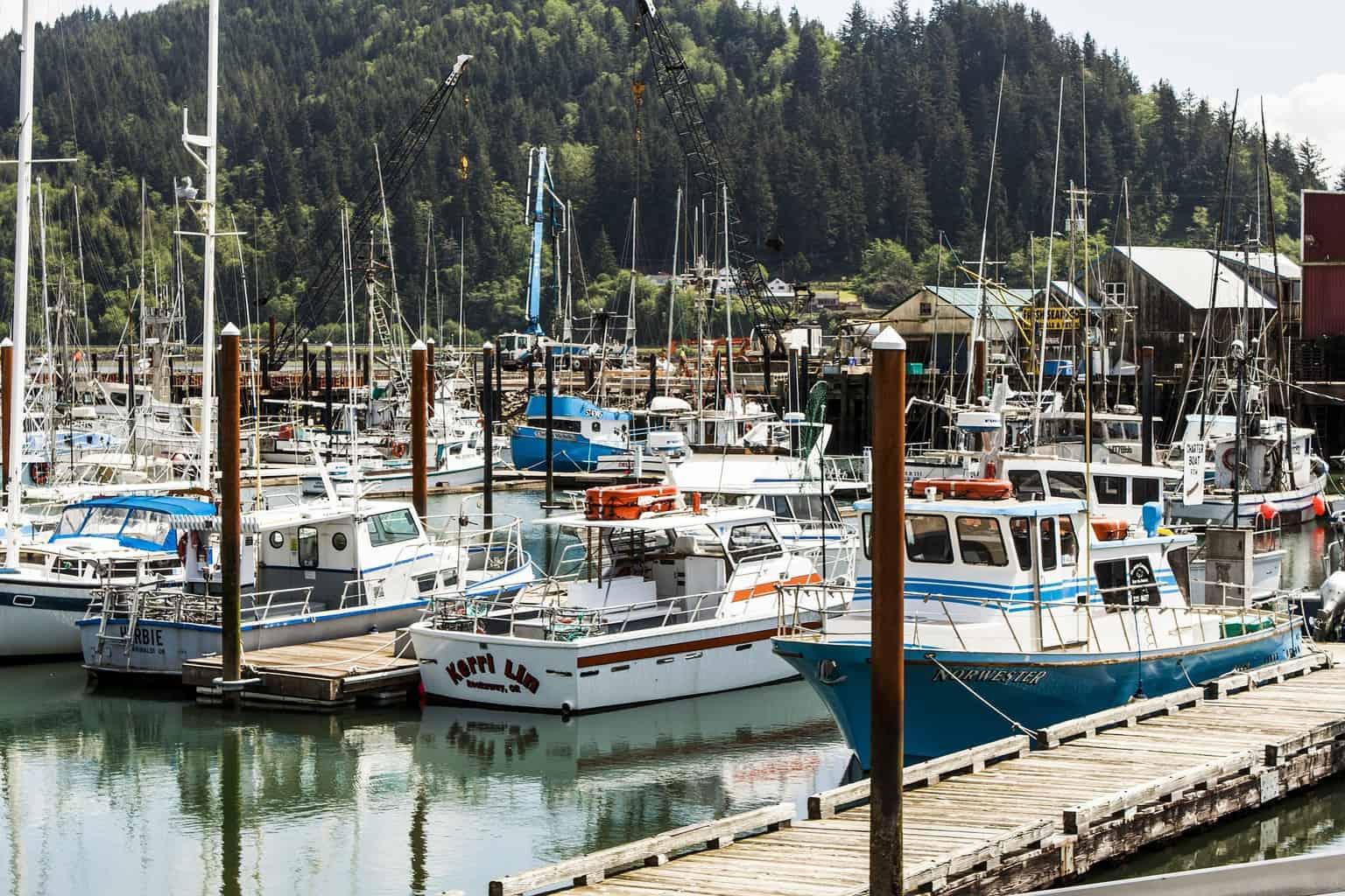 Fishing in Garibaldi, Oregon for Salmon: A Complete Oregon Coast Guide