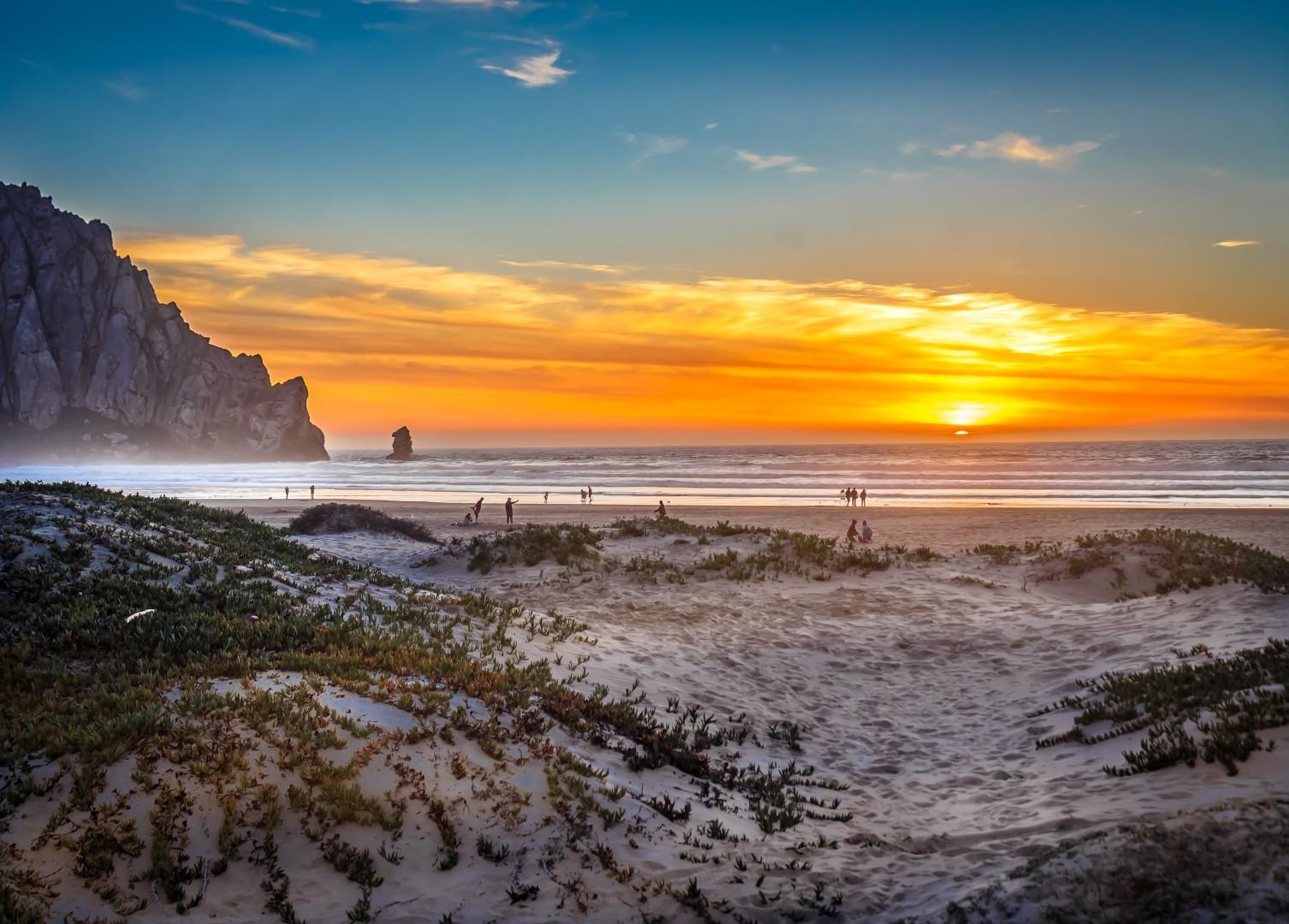 Best Off-Leash Beaches for Dogs in Brookings, Oregon