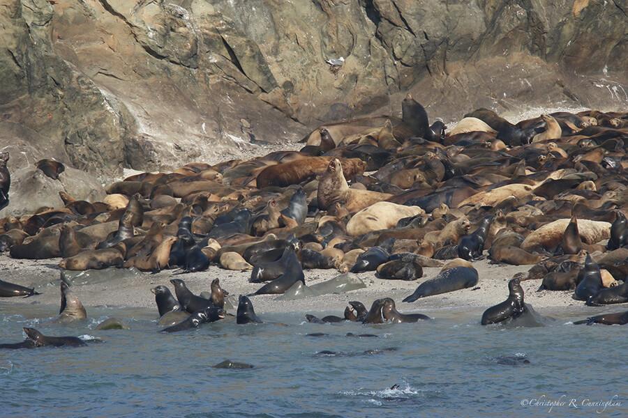 Best Places to Visit While Exploring North Bend, Oregon: A Local Adventure Guide