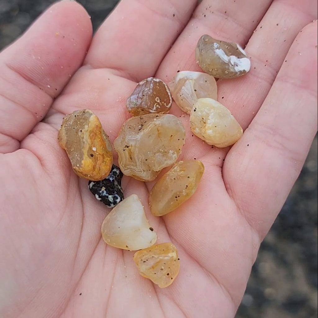 Discover the Hidden Treasure of the Oregon Coast: Agate Hunting for Beginners