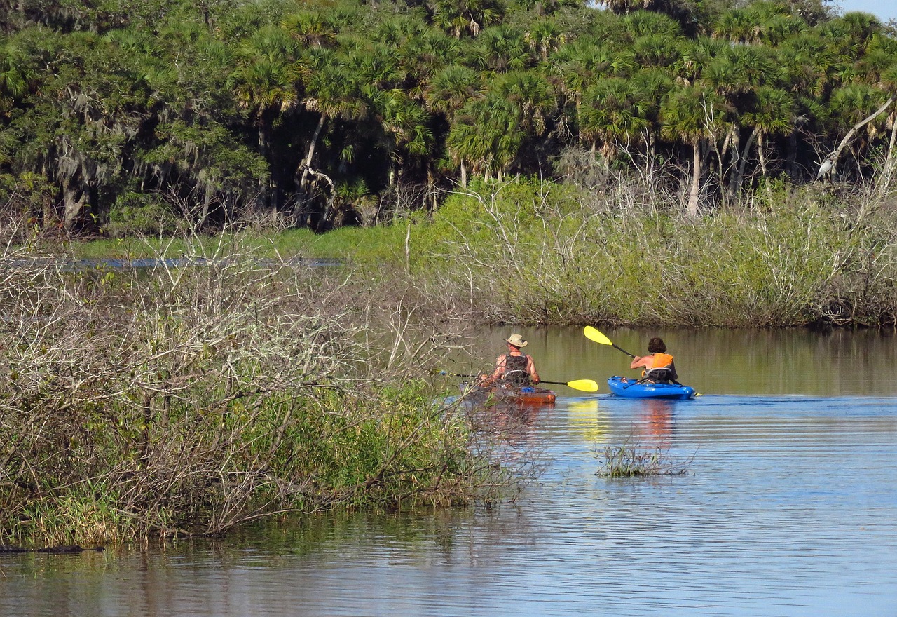 Paddle Into Autumn: Early Fall Kayaking Through Oregon Coast Estuaries