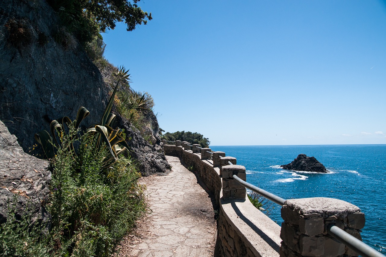 Walking the Wrack Line: Oregon Coast's Most Overlooked Nature Trail