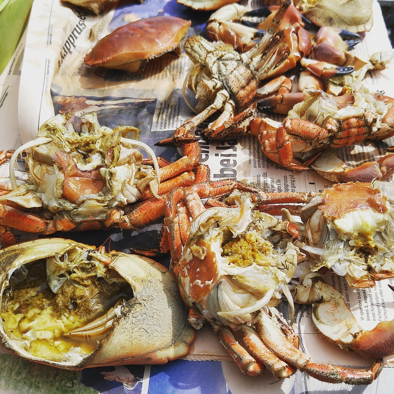 Dungeness Crab Season Celebration: A Taste of Fall on the Oregon Coast