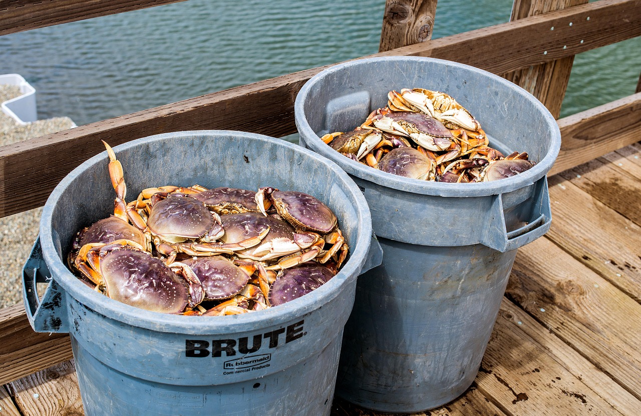 Cold Rain, Crab Pots and Full Coolers: Late-Fall Crabbing on Oregon’s Alsea Bay