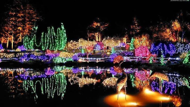 Holiday Lights at Shore Acres: A Magical Late-Fall Night on the Southern Coast