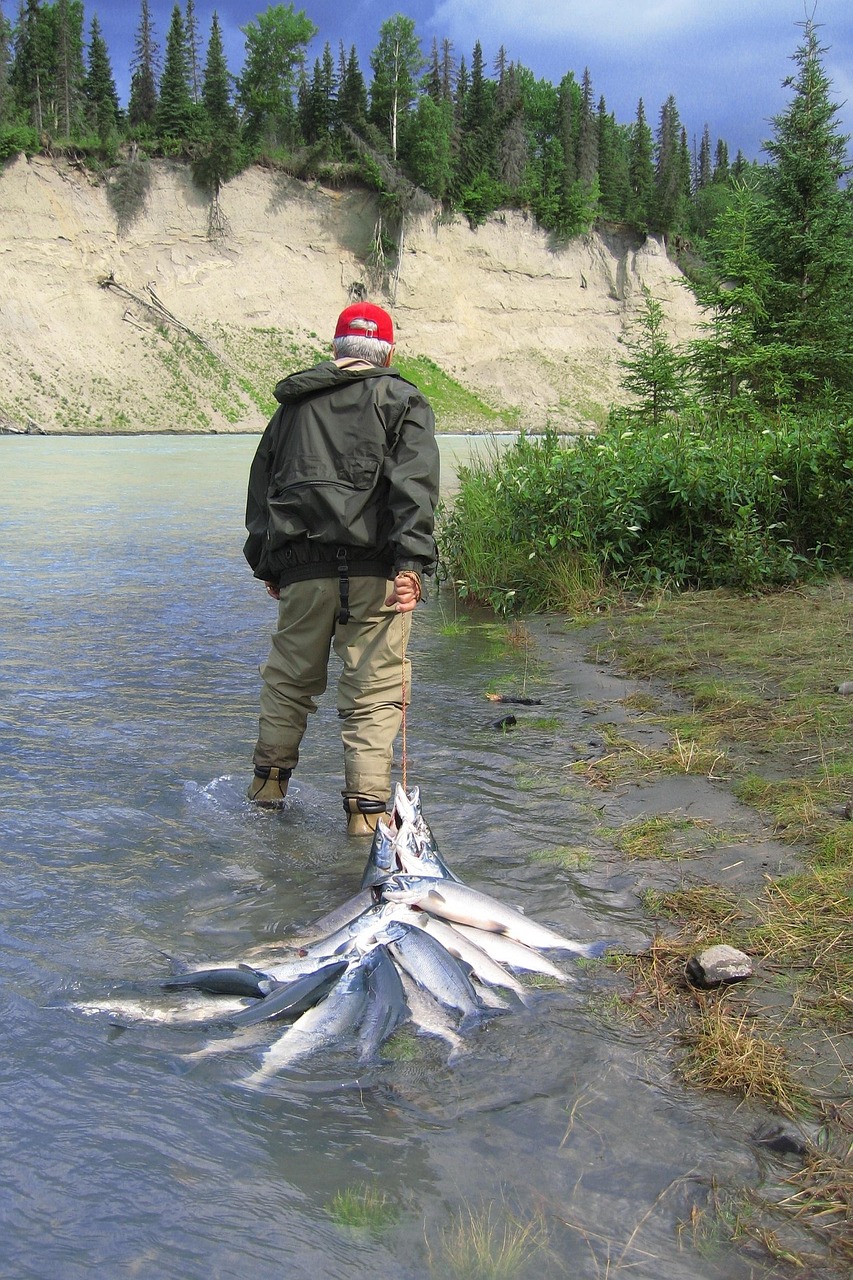 November on the Necanicum: Watching the Fall Salmon Return to Seaside