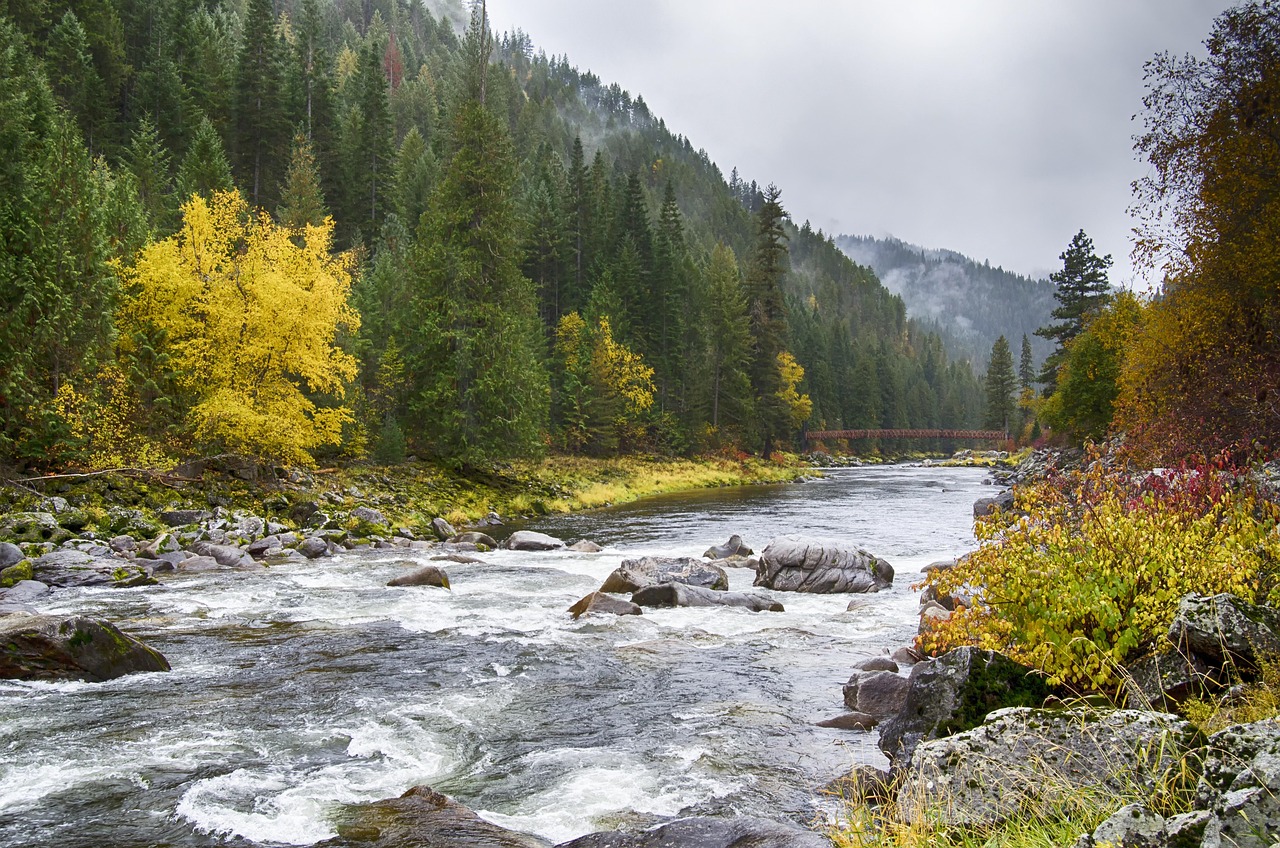 Fishing Three Rivers, Oregon: Chasing Salmon & Steelhead in Coastal Water