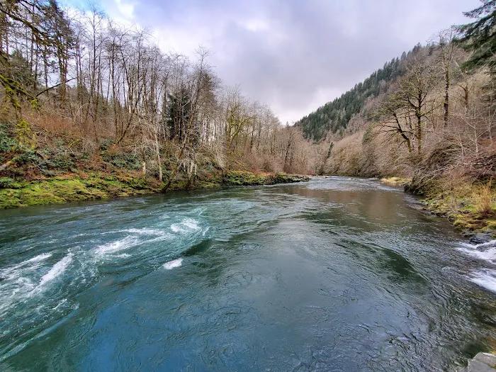 Wilson River Fishing Report — Tillamook County, Oregon