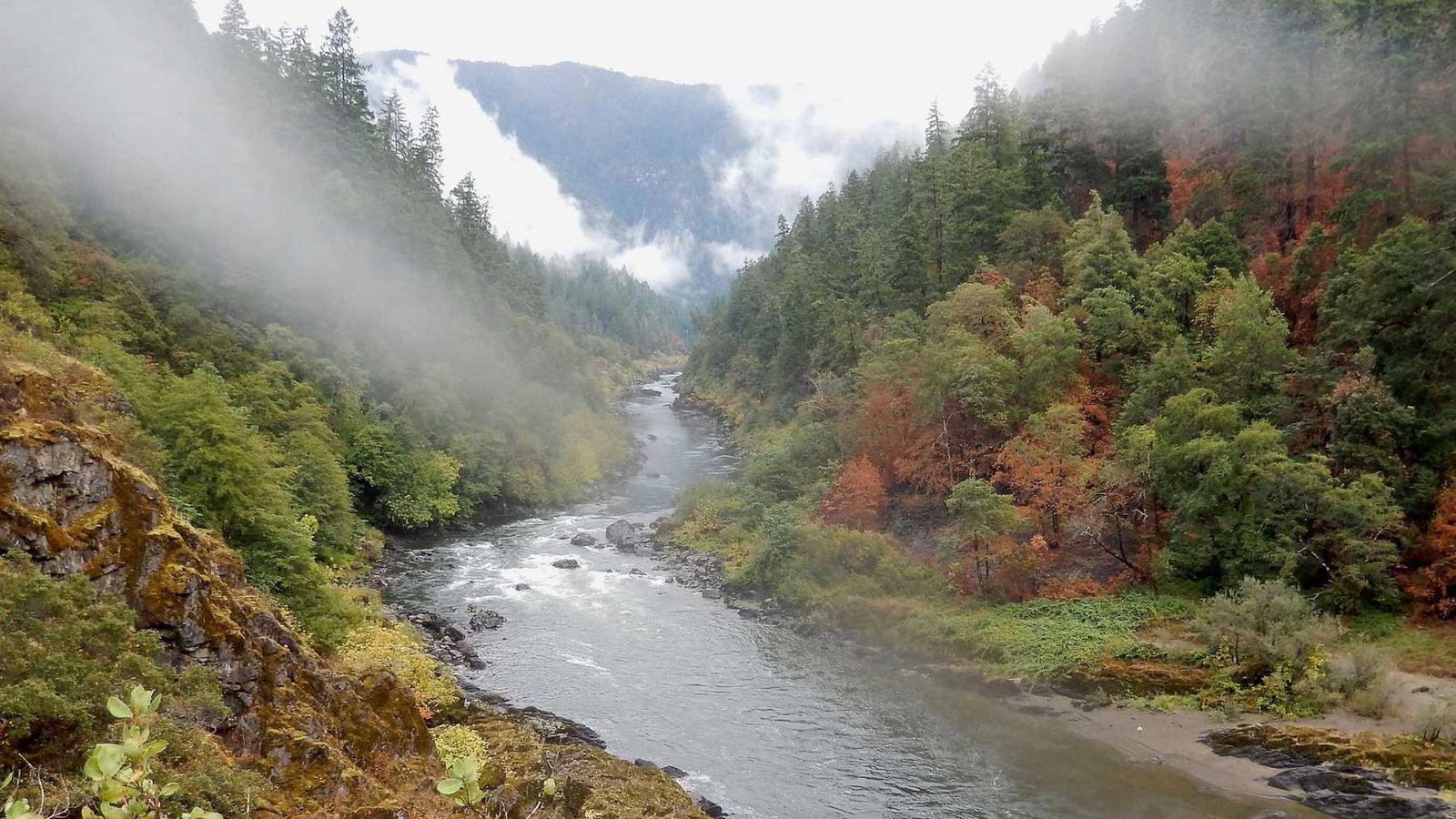Trask River Fishing Report — Tillamook County, Oregon