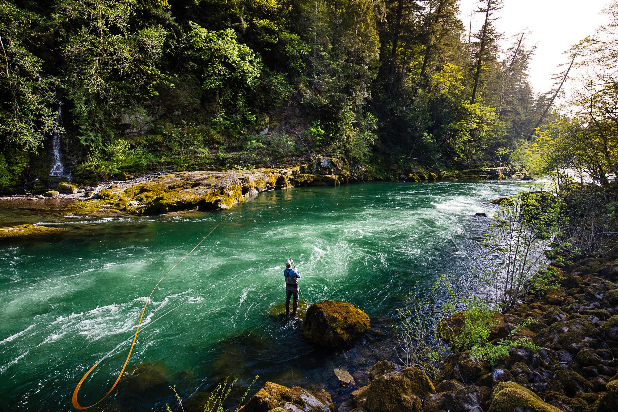 North Umpqua River Fishing Report: Fall Fishing Near Tyee, Oregon — Late October 2026
