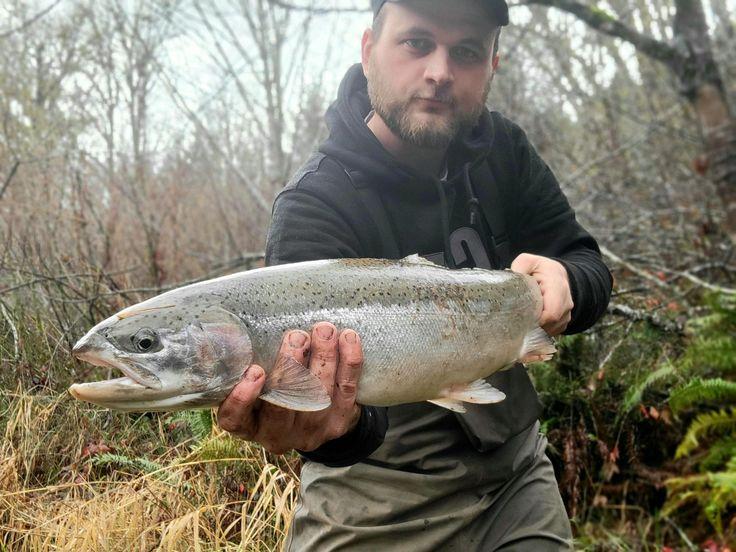Winter Steelhead Are Coming! What to Expect From the 2026–2027 Run Near Florence, Oregon