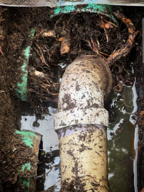 A Guide to Septic Inspections for Home Buyers in Guilford, CT