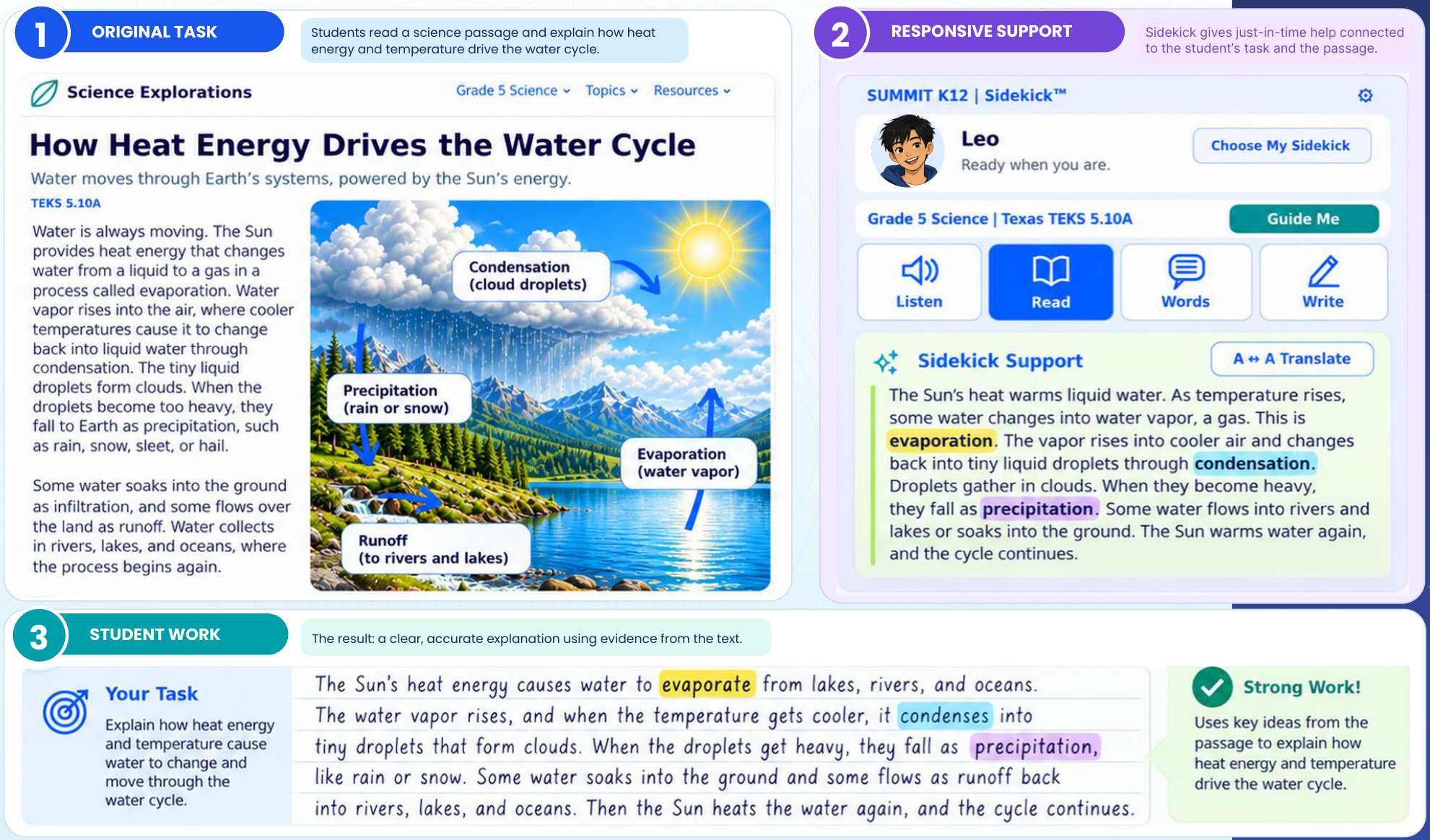 Grade 5 science example: the original water cycle passage, Leo's Sidekick support panel with highlighted vocabulary, and the student's written explanation