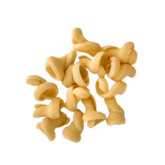 Torchio