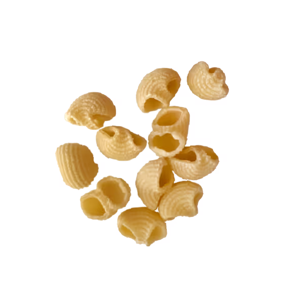 Lumache