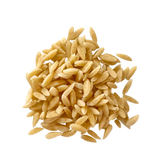 Orzo
